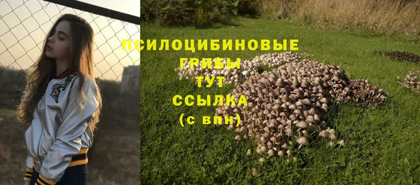 индика Карпинск