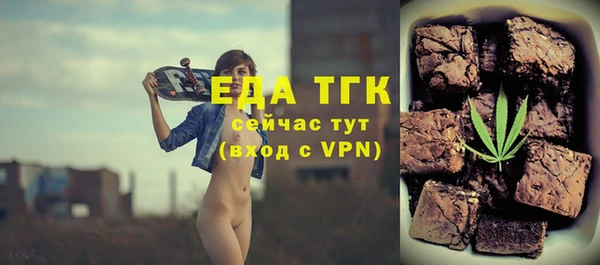 индика Карпинск