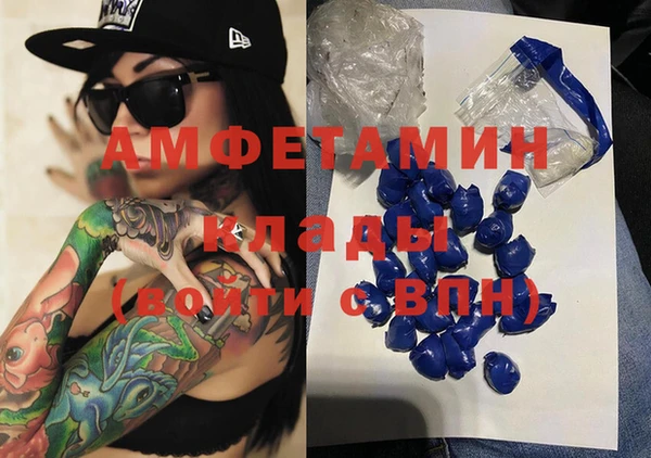 индика Карпинск