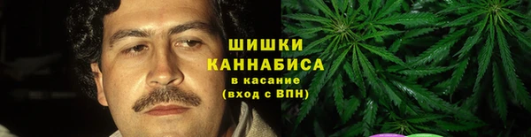 индика Карпинск