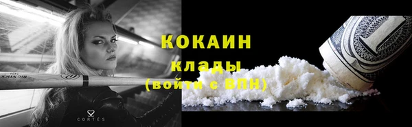 индика Карпинск
