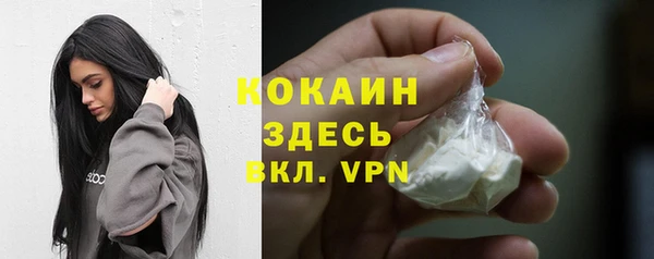 индика Карпинск