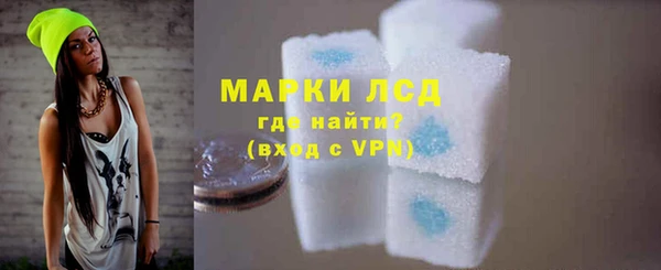 индика Карпинск