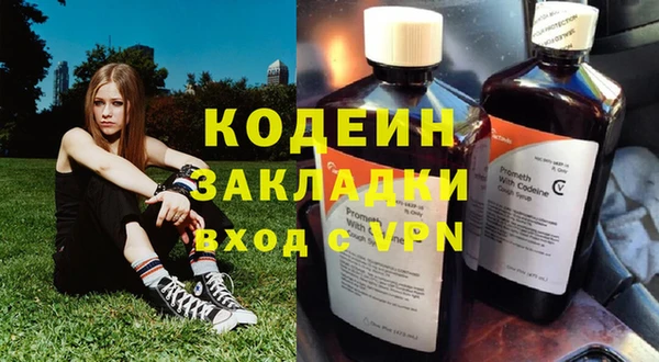 индика Карпинск