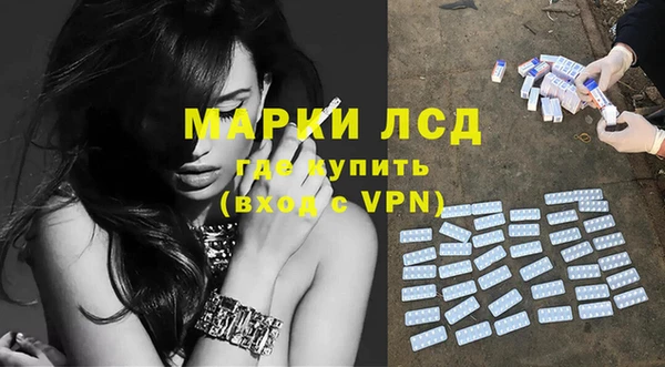 индика Карпинск