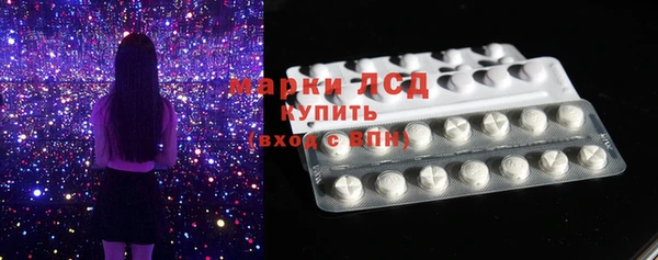 индика Карпинск