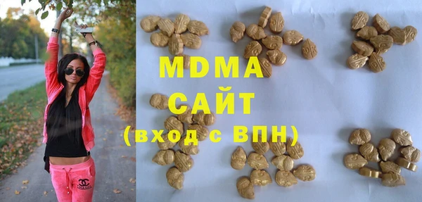 индика Карпинск