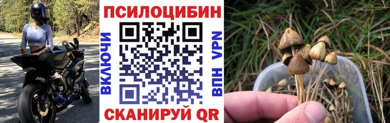 Галлюциногенные грибы ЛСД  Купить  Ясный 
